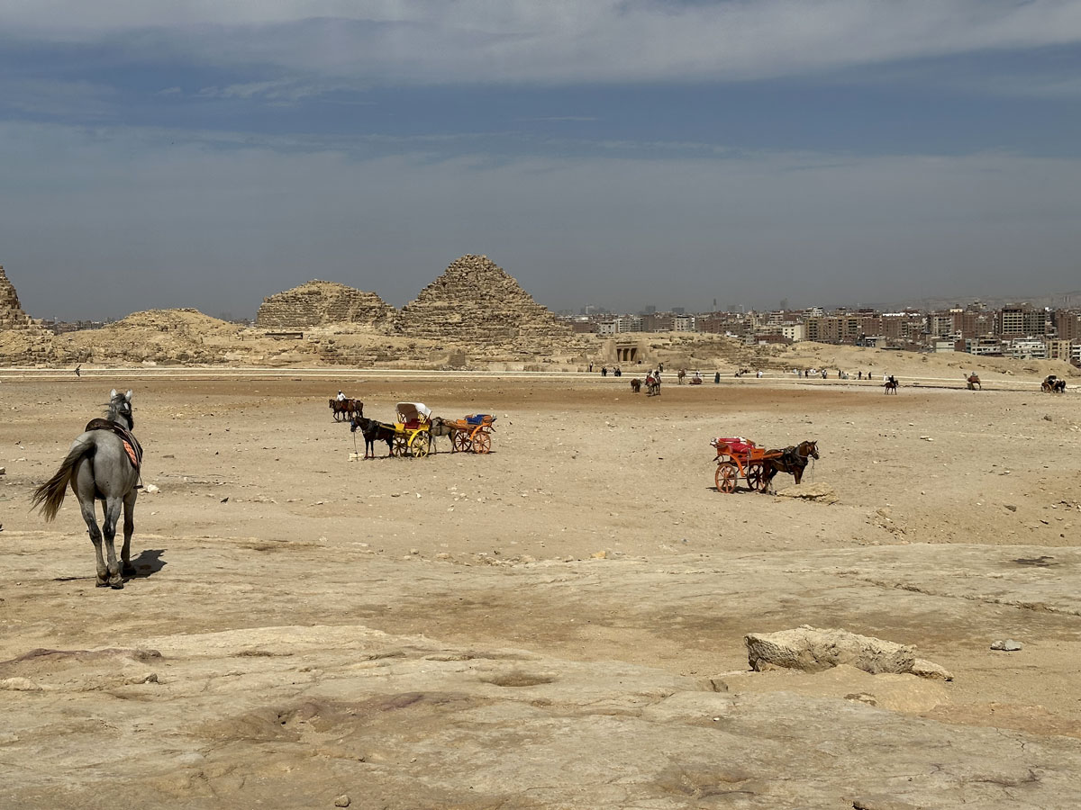 Пирамиды Гизы в Египте