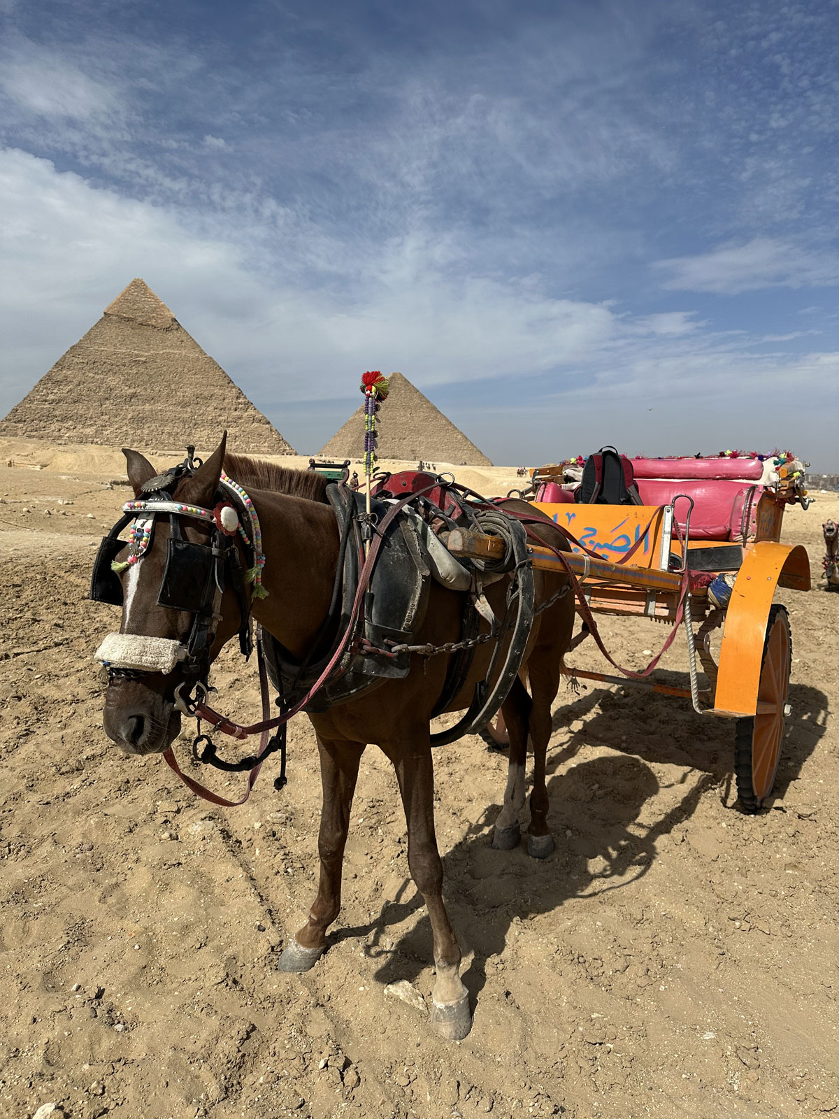 Пирамиды Гизы в Египте