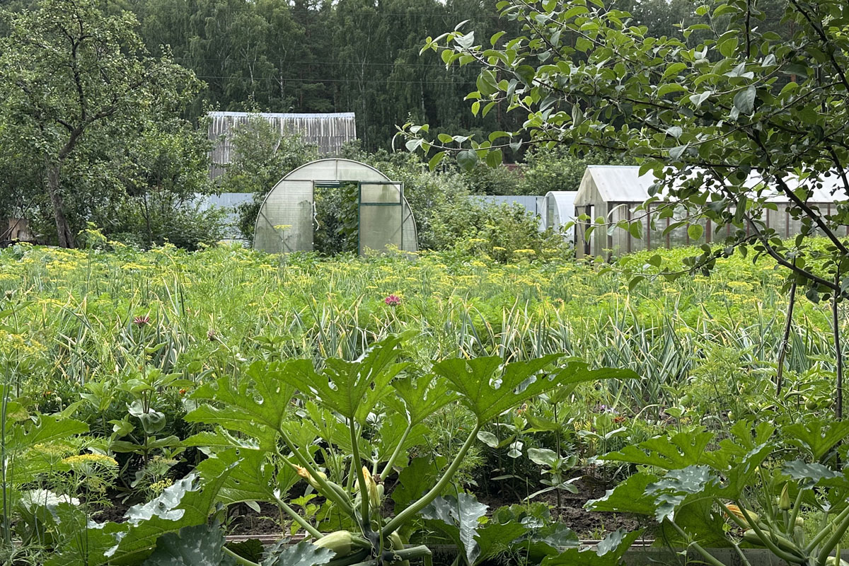 Планировка сада