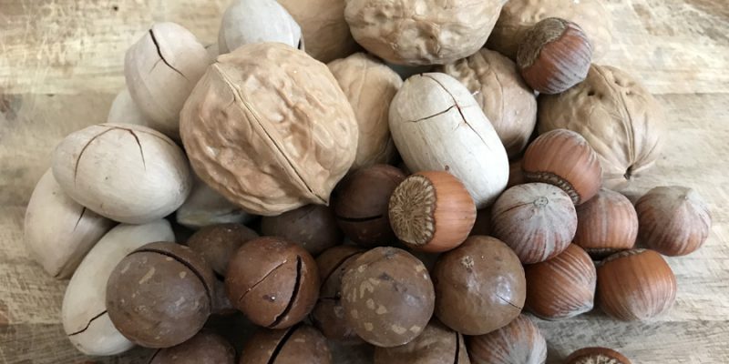 Польза орехов для здоровья