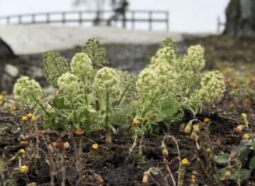 Весенняя лихорадка: полюбите себя этой весной!