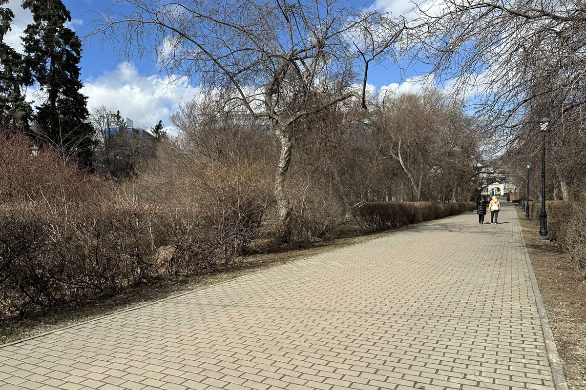 Польза ходьбы