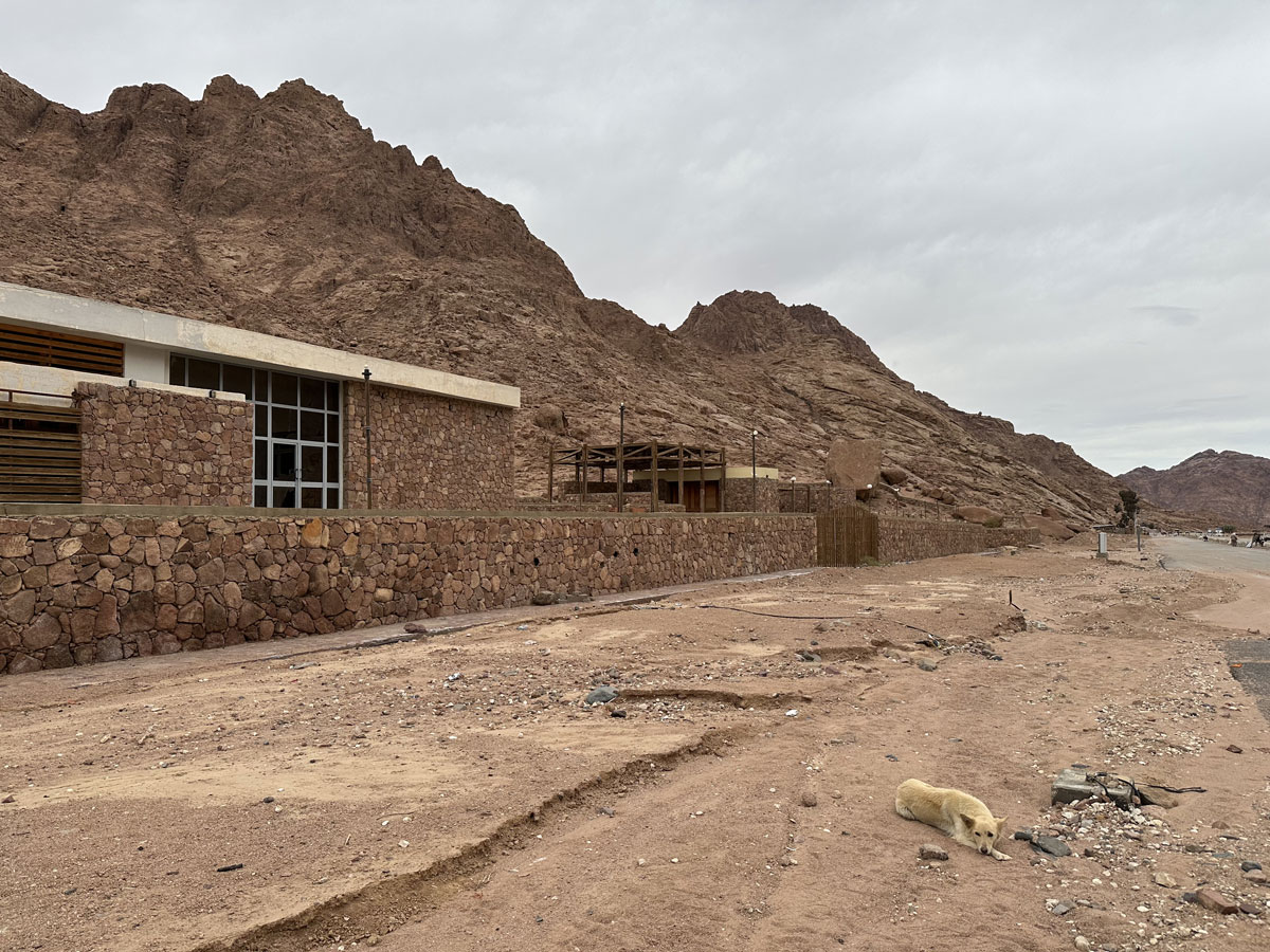 По дороге в монастырь Святой Екатерины