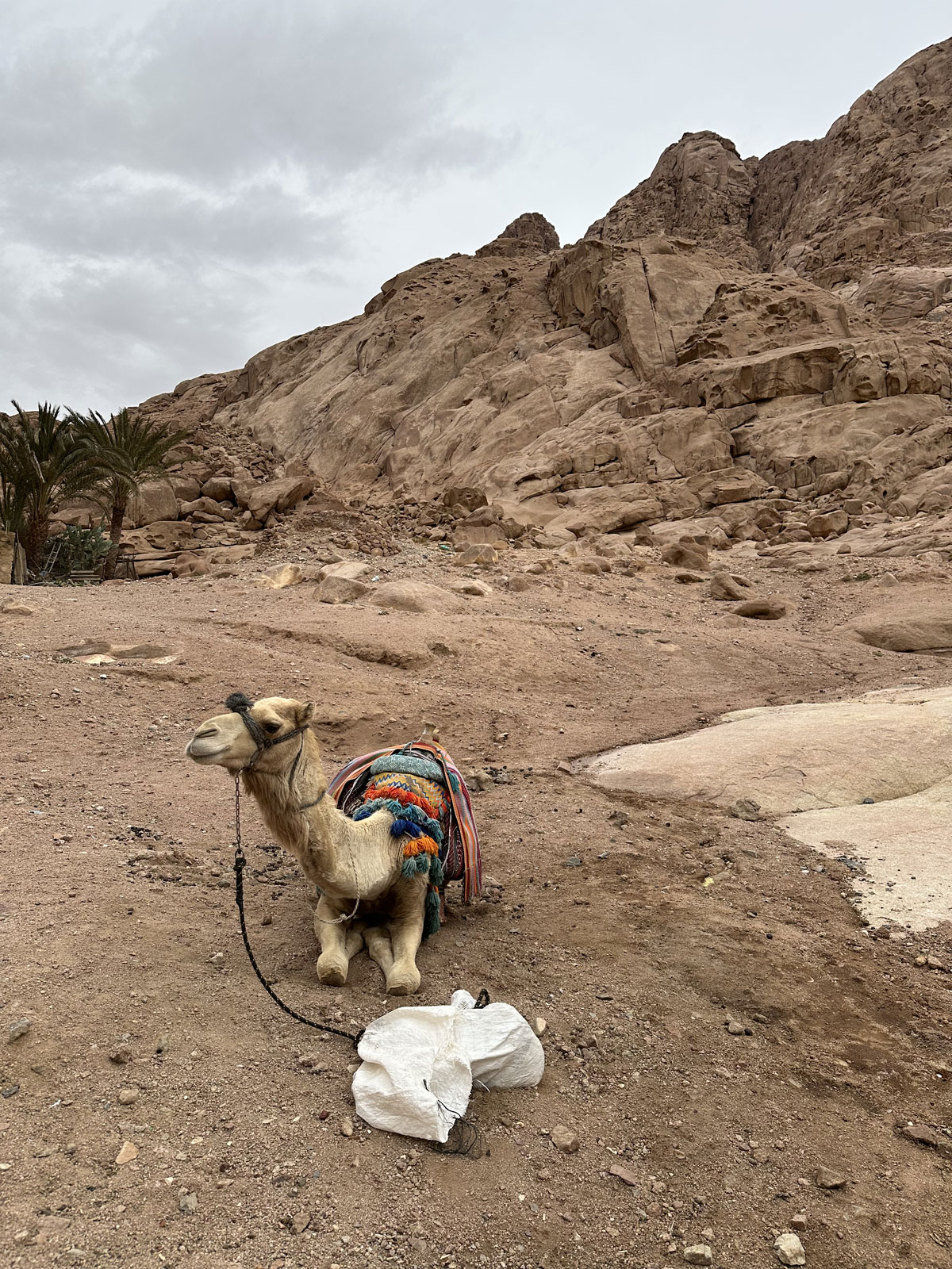 По дороге в монастырь Святой Екатерины