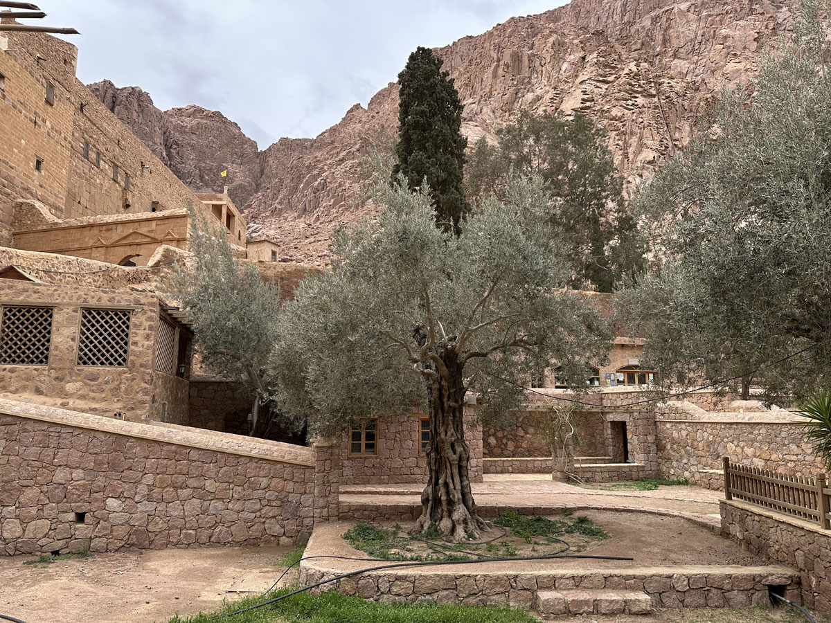 Монастырь Святой Екатерины на горе Синай