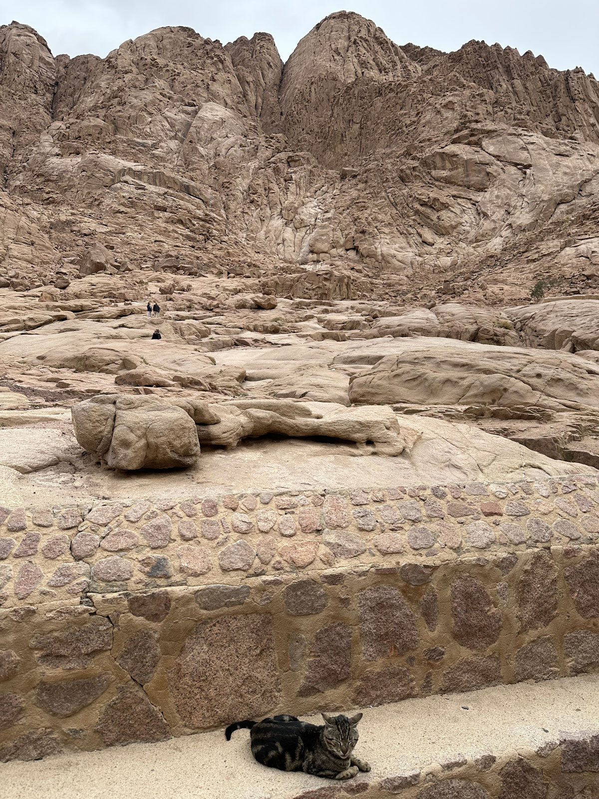 По дороге в монастырь Святой Екатерины