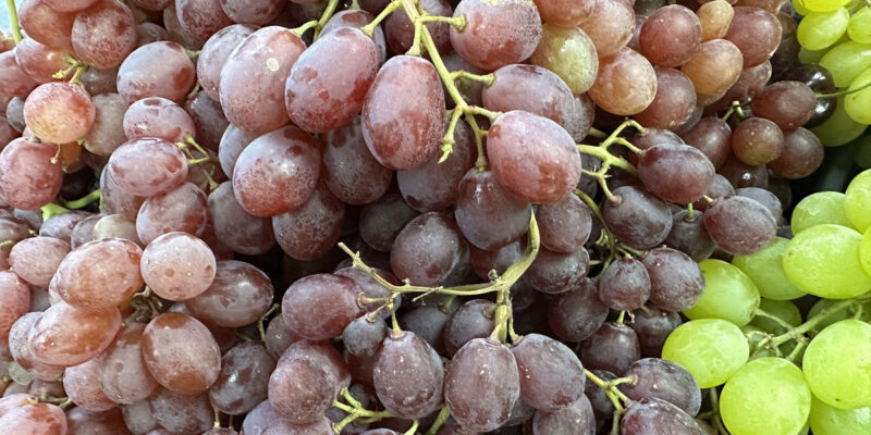 Ресвератрол в винограде