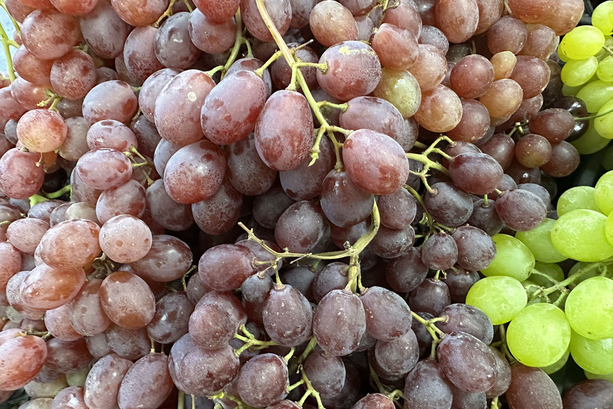 Ресвератрол в винограде