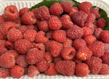 Самые полезные фрукты и овощи