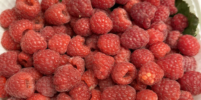 Самые полезные фрукты и овощи