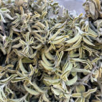 Шалфей лекарственный (лат. Salvia officinalis)