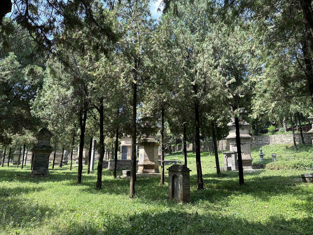 Лес пагод Шаолинь