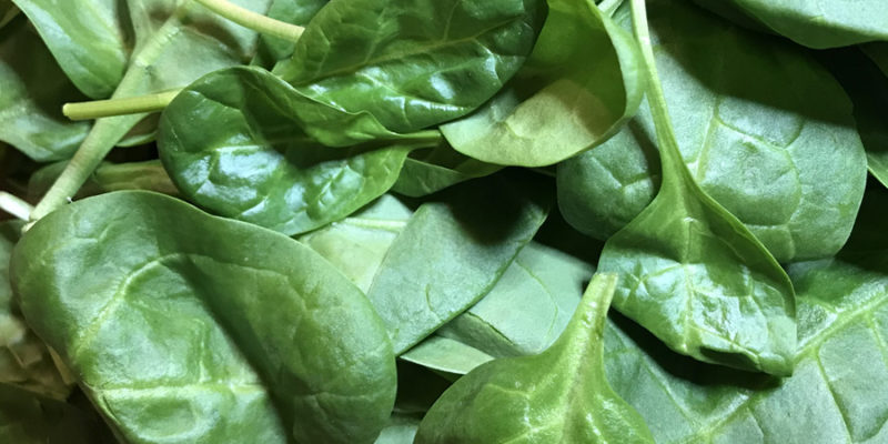 Шпинат: полезные свойства