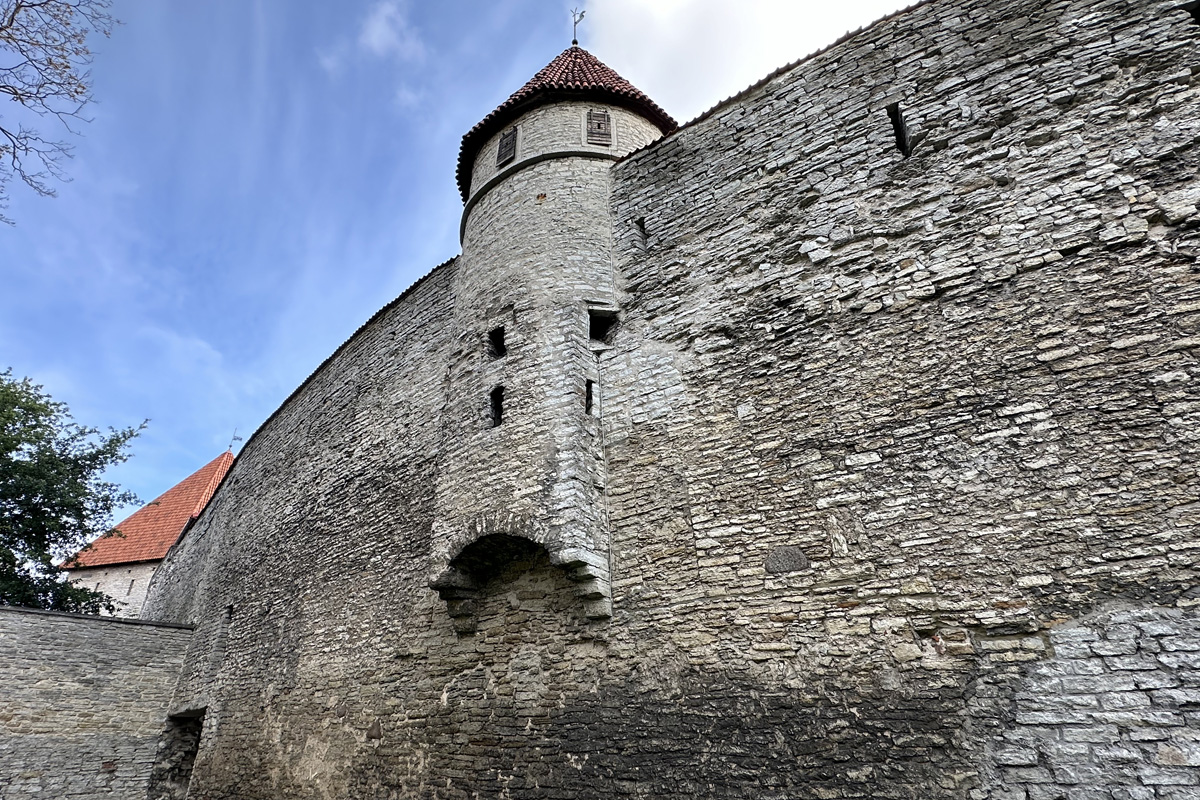 Таллиторн в Таллине