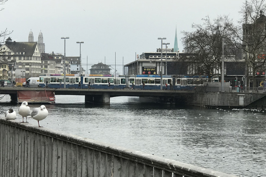Трамваи в Цюрихе