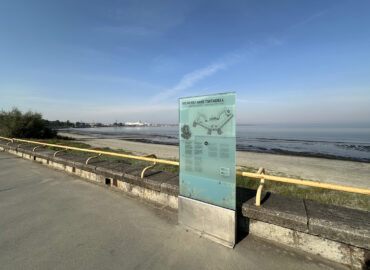 Цитадель морской батареи