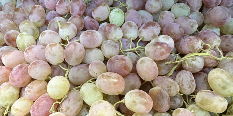 Виноград: польза и вред для здоровья