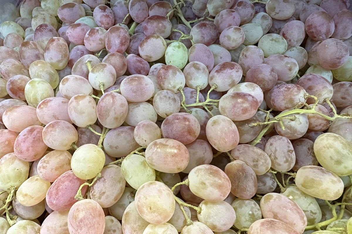 Виноград: польза и вред для здоровья