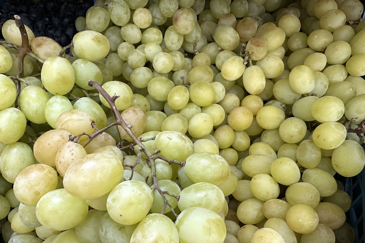 Виноград