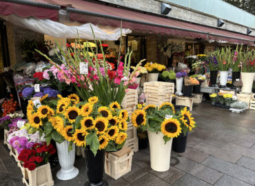 Цветочный рынок Виру в Таллине