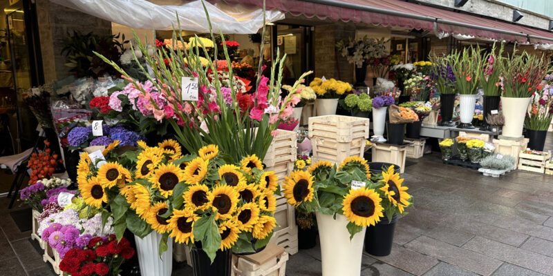 Цветочный рынок Виру в Таллине