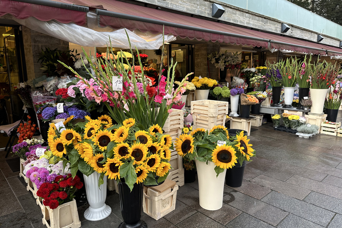 Цветочный рынок Виру в Таллине