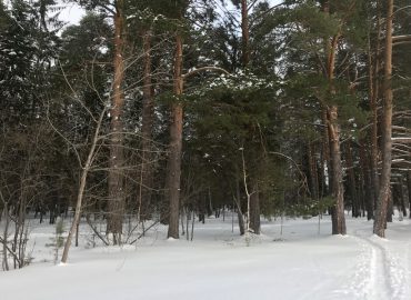 Пути выхода из зимней депрессии